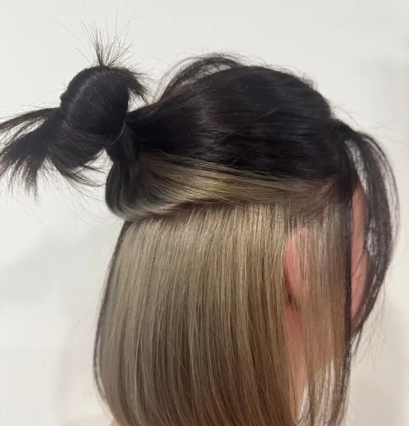 Carré vu de trois quarts dos : les cheveux du dessus, brun foncé, sont relevés en chignon haut et dévoilent un dessous blond beige