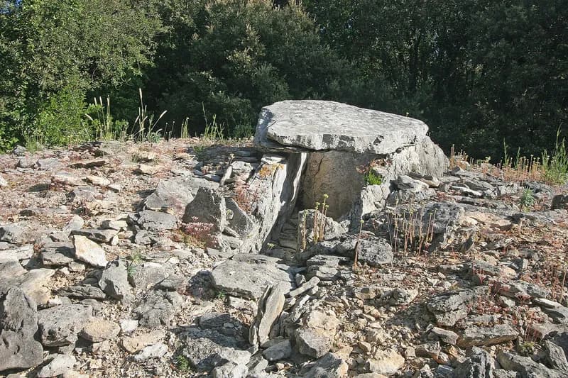 Un dolmen du Bois des Géantes : une grande dalle posée sur des pierres dressées, au milieu des cailloux calcaires et des arbres